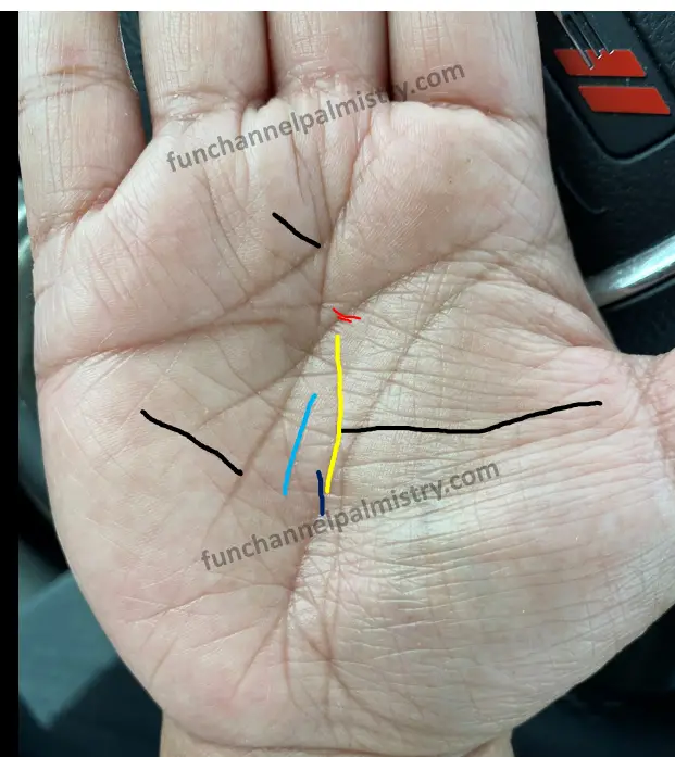 double fate line in female hand